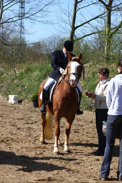 Bild 216 - WBO-Turnier am 9.4.11